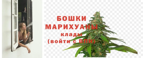 СК Зерноград