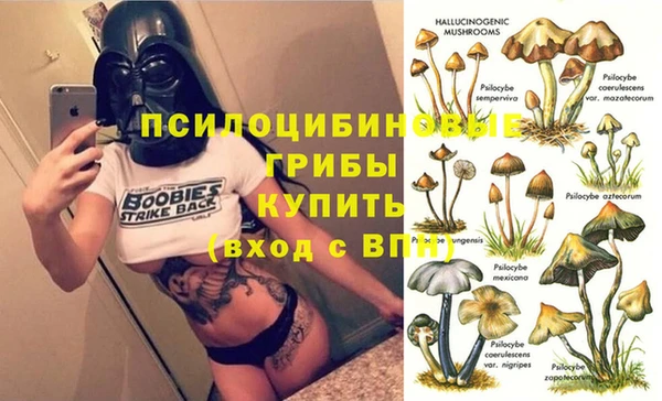 гидропоника Зеленокумск