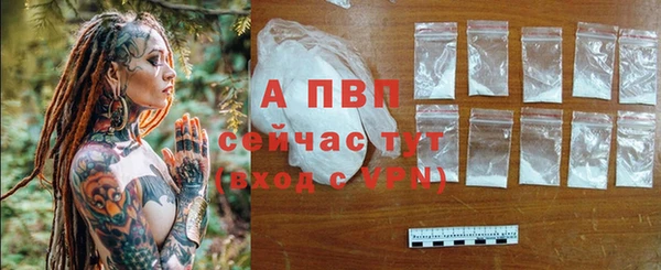 СК Зерноград