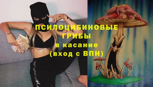 СК Зерноград