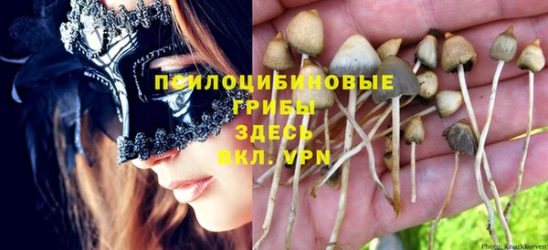 гидропоника Зеленокумск