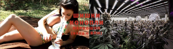 СК Зерноград