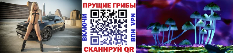где найти наркотики  Игарка  Псилоцибиновые грибы MAGIC MUSHROOMS 